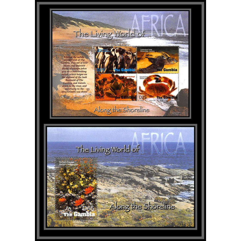 80667 gambie gambia N°5494/7 + BF gerbera poissons fishes along the shoreline turtle crab penguin 2005 ** MNH