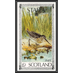 80848 staffa scotland snipe Bécassine bécasse ** MNH oiseaux birds bird Non dentelé imperf 1979 2£