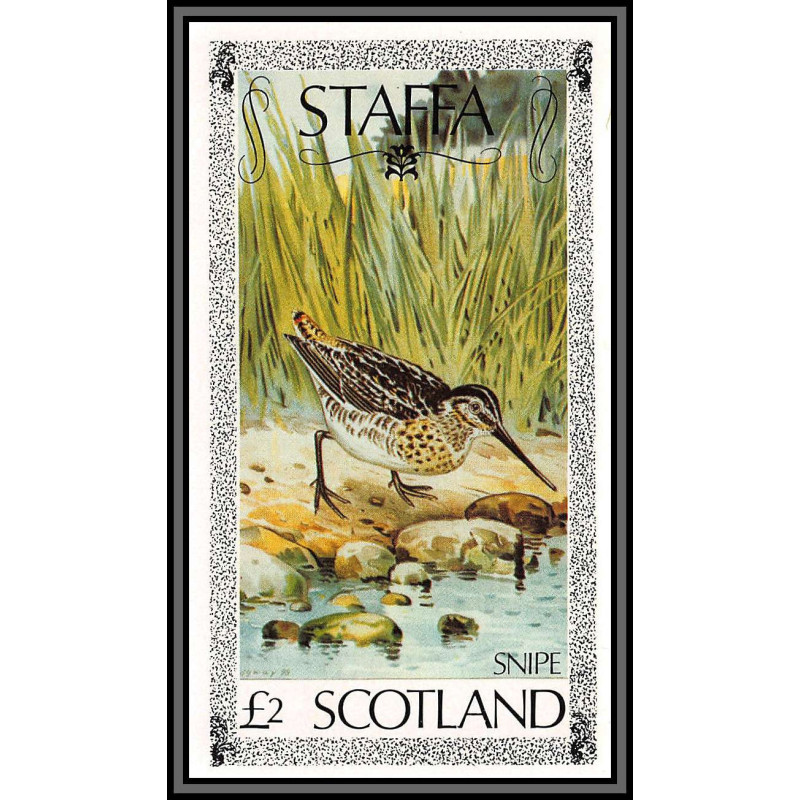 80848 staffa scotland snipe Bécassine bécasse ** MNH oiseaux birds bird Non dentelé imperf 1979 2£