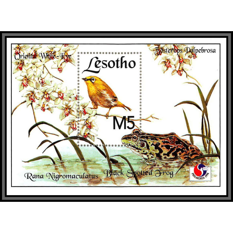 80855 lesotho Mi N°114 rana nigromaculatus philakorea 1994 palpebrosa Gérygone grenouille frog ** MNH oiseaux birds