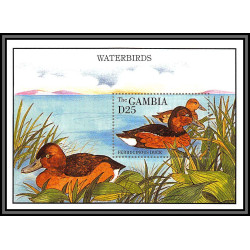 80861 gambia gambie mi N°250 ferruginous duck Fuligule nyroca canard ** MNH oiseaux 1991 waterbirds