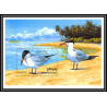 80869 maldives y&t N°269 caspian tern Sterne caspienne oiseaux birds bird 1993 TB neuf ** MNH 