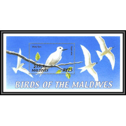 80871 maldives mi N°512 white tern Gygis blanche oiseaux birds bird 2002 TB neuf ** MNH 