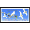 80871 maldives mi N°512 white tern Gygis blanche oiseaux birds bird 2002 TB neuf ** MNH 