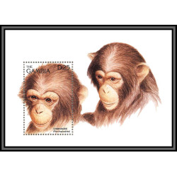80906 gambia gambie Mi BF N°282 chimpanzee Chimpanzés singes ape apes monkeys TB neuf ** MNH Animaux animals 1996