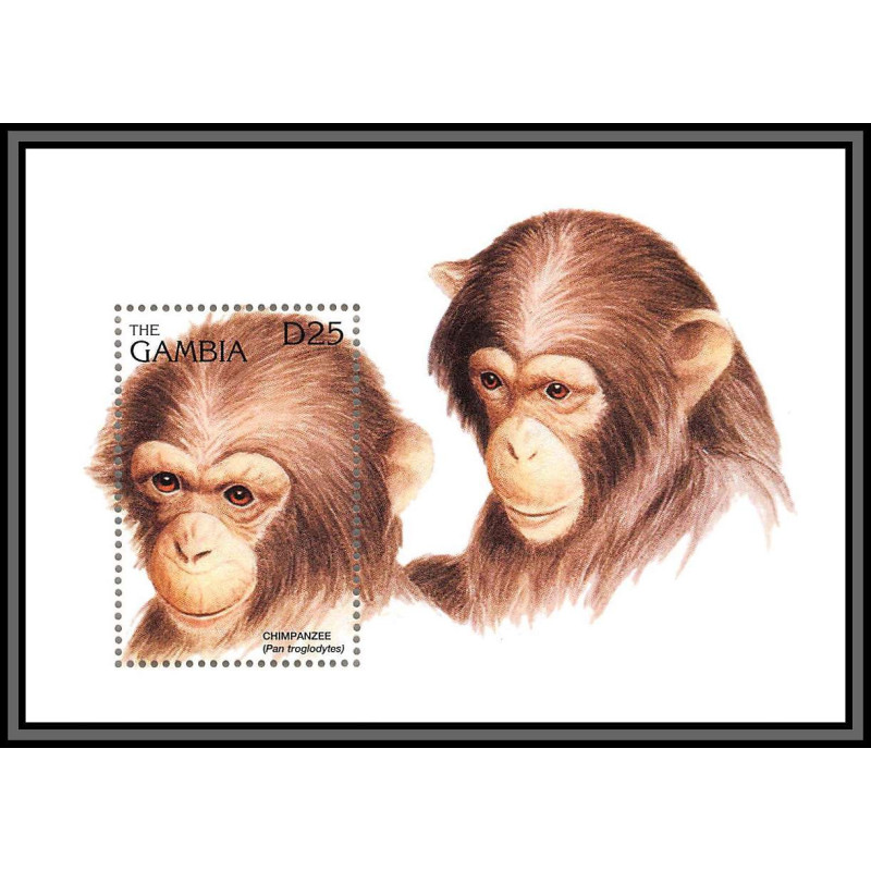 80906 gambia gambie Mi BF N°282 chimpanzee Chimpanzés singes ape apes monkeys TB neuf ** MNH Animaux animals 1996