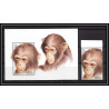 80907 gambia gambie Mi BF N°282 chimpanzee Chimpanzés singes ape apes monkeys TB neuf ** MNH Animaux animals 1996