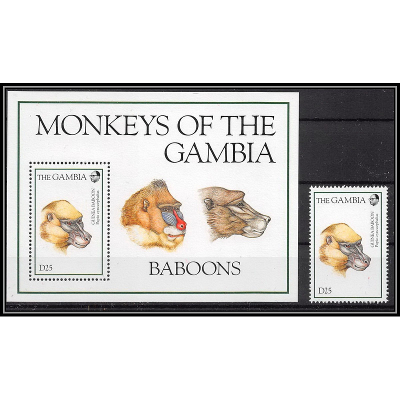 80913b gambia gambie Mi BF N°229 +timbre Guinea baboons Babouins singes ape apes monkeys ** MNH Animaux animals 1994