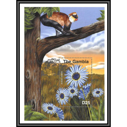 80917 gambia gambie N° singes ape apes monkeys arctotis venusta Astéracées TB neuf ** MNH Animaux animals fleurs flowers