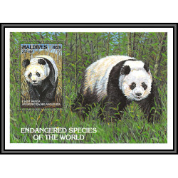 80919 maldives Mi BF N°288 giant panda TB neuf ** MNH Animaux animals 1993