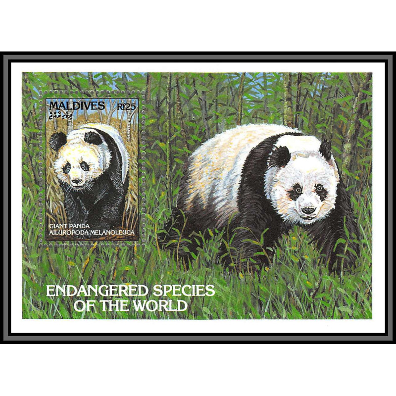 80919 maldives Mi BF N°288 giant panda TB neuf ** MNH Animaux animals 1993