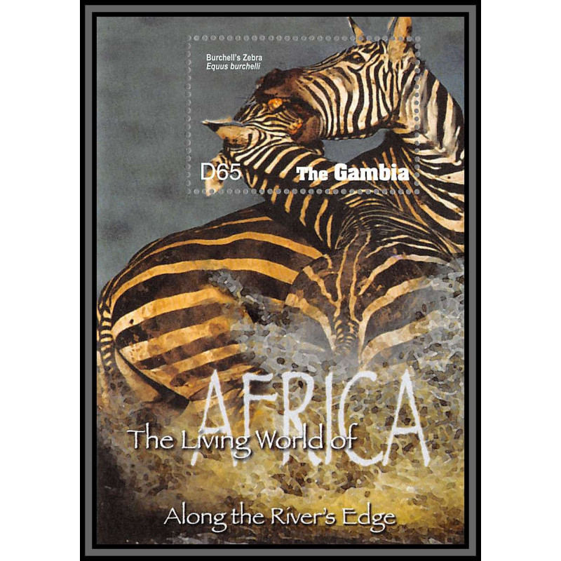 80922 gambia gambie Mi BF N°687 zèbre zebra TB neuf ** MNH Animaux animals 2005