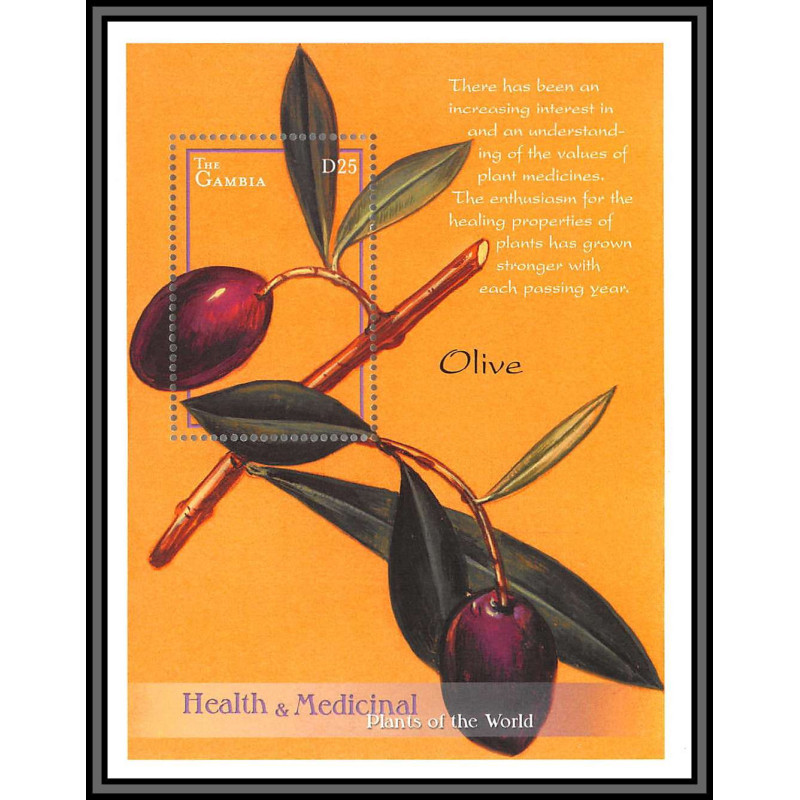81011 gambia gambie BF N°525 Medicinal Plants Olive TB neuf ** MNH fleur flowers flower fleurs 2001