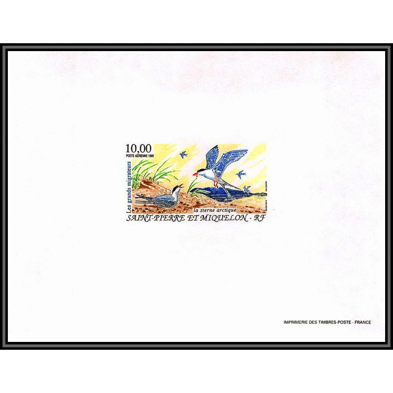 86233 PA N°74 sterne arctique Arctic Tern oiseaux (birds) bloc feuillet gommé RRR ** MNH Saint-Pierre et Miquelon