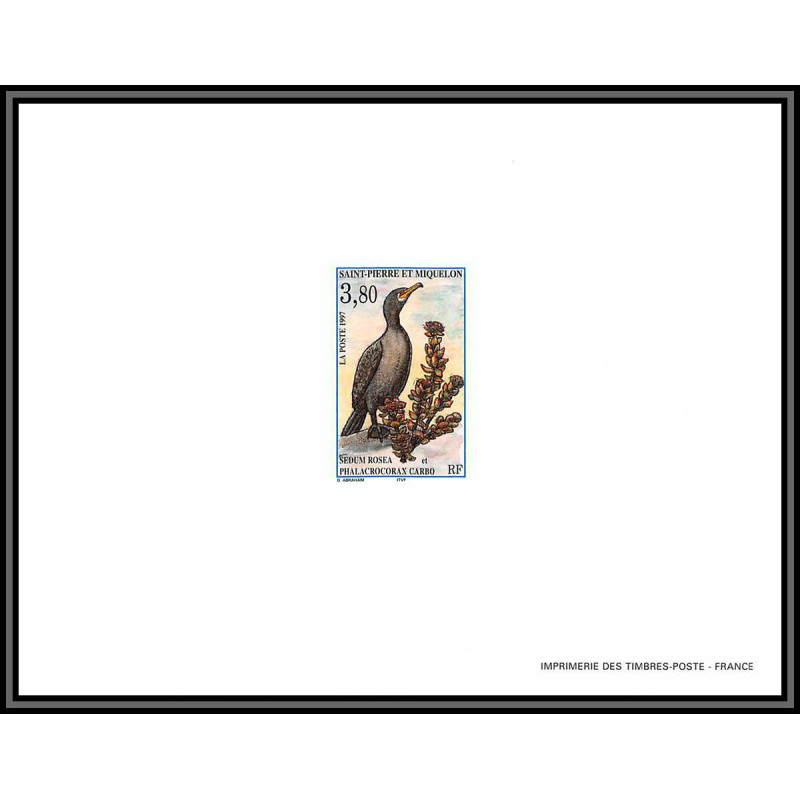 86243 N°642 Cormoran cormorant phalacrocorax oiseaux birds bloc feuillet gommé RR ** MNH Saint-Pierre et Miquelon proof