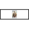 86243a N°642 Cormoran cormorant phalacrocorax carbo oiseaux birds Non dentelé imperf MNH Saint-Pierre et Miquelon proof