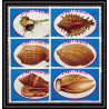 86428 sao tome e principe mi 680/685 A coquillages shells 1981  ** MNH cote 14 euros