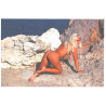 17027 Carte postale érotique nus érotic postard nude see voir desciption 
