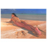 17051 Carte postale érotique nus érotic postard nude see voir desciption 