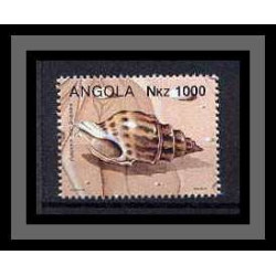 Angola Coquillages shells poissons (Fish poisson fishes) B14