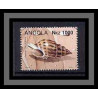 Angola Coquillages shells poissons (Fish poisson fishes) B14