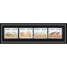 Angola N° 884 / 887 Coquillages shells poissons (Fish poisson fishes) Série complète 