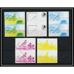 Lesotho N° 451 oiseaux (bird birds oiseau) MACRONYX CAPENSIS Essai (proof) Non dentelé imperf ** MNH