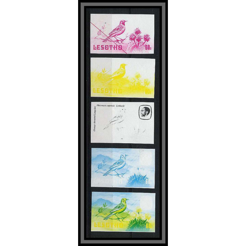 Lesotho N° 451 oiseaux (bird birds oiseau) MACRONYX CAPENSIS Essai (proof) Non dentelé imperf ** MNH