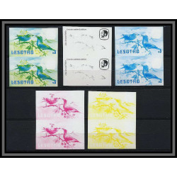Lesotho N° 455 oiseaux (bird birds oiseau) CORACIAS CAUDATA Essai (proof) Non dentelé imperf ** MNH