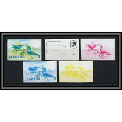 Lesotho N° 455 oiseaux (bird birds oiseau) CORACIAS CAUDATA Essai (proof) Non dentelé imperf ** MNH