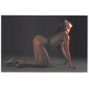 17292 Carte postale érotique nus érotic postard nude see voir desciption 