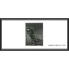N°3309 camille Claudel Sculture La valse Tableau (Painting) Gravure France 2000