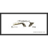 N°3507 L'art chorégraphique Gravure France 2002 main hand hands