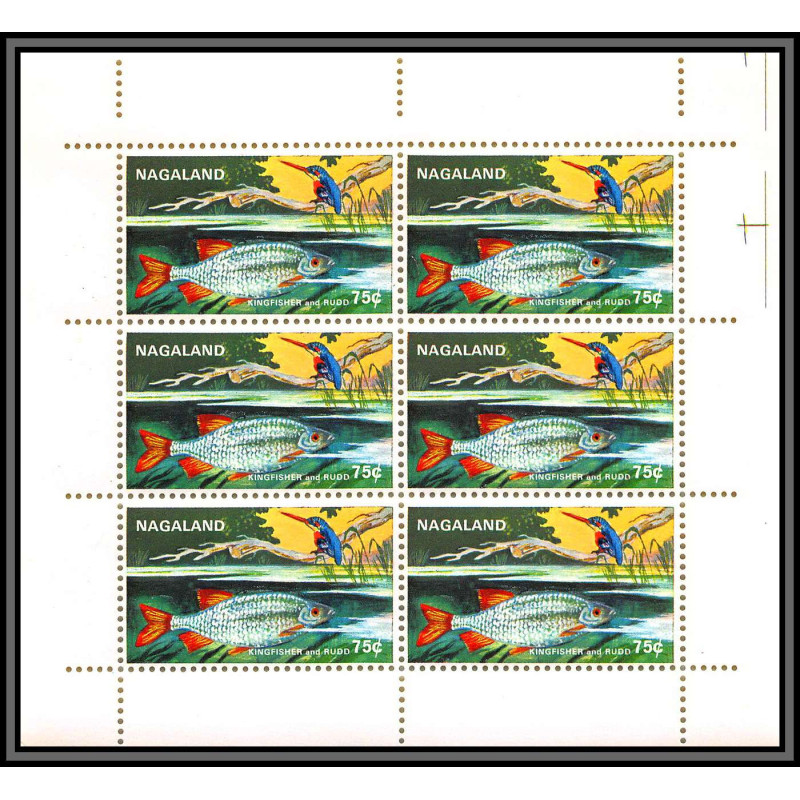 80670 nagaland india Kingfisher martin pecheur ruud Scardiniu TB neuf ** MNH poissons fishes fish oiseaux (birds) 