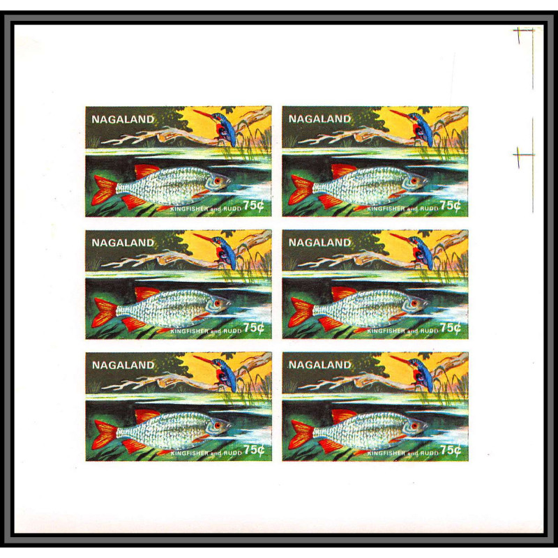 80671 nagaland Kingfisher martin pecheur ruud Scardiniu ** MNH poissons fishes fish oiseaux birds Non dentelé imperf