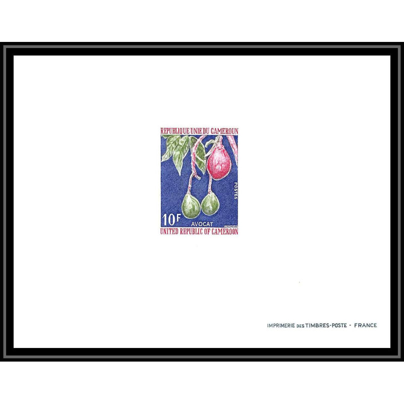 0022d Epreuve de luxe deluxe proof Cameroun N°554 avocat (avocado)