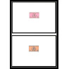 0164 Epreuve de luxe deluxe proof Cameroun N°467+ PA121 "année internationale des droits de l'homme HUMAN RIGHTS