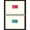 0165 Epreuve de luxe deluxe proof Cameroun N°144/145 Organisation internationale du travai oit (ilo)