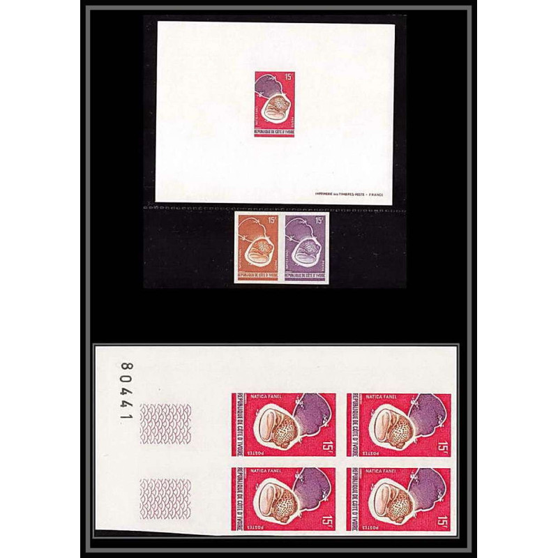 0382 Epreuve de luxe deluxe proof cote d'ivoire N°337 shell (shells) coquillages natica fanel Non dentelé ** MNH proof 