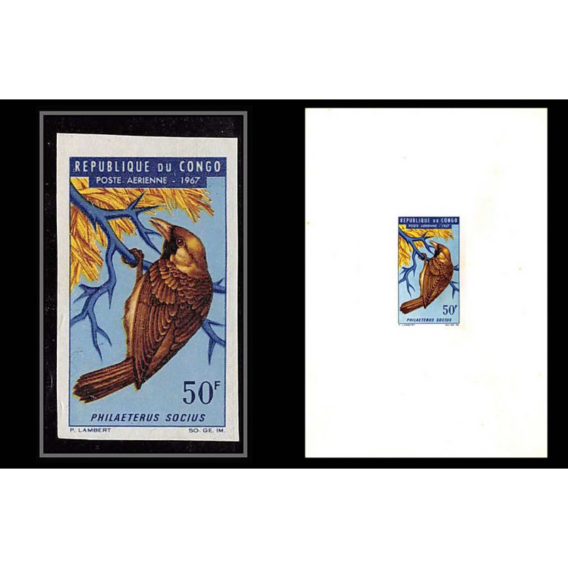 0555 Epreuve de luxe deluxe proof congo Poste aerienne PA N°47 oiseaux (birds) philaeterus + Non dentelé imperf
