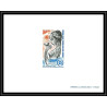 0588 Epreuve de luxe deluxe proof congo PA N°145 conférence sur l´environnement onu (uno) nations unies sirene naiade