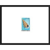 1009 épreuve de luxe / deluxe proof Togo - N° 818/821 + 237/238 COQUILLAGES shell + Non dentelé imperf ** MNH + fdc