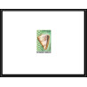 1009 épreuve de luxe / deluxe proof Togo - N° 818/821 + 237/238 COQUILLAGES shell + Non dentelé imperf ** MNH + fdc