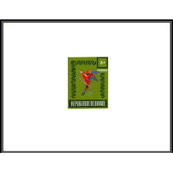 2094 oiseaux (birds) série complète de 33 épreuve de luxe non emises 1962 Guinée guinea deluxe unadopted proof TTB 