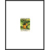 2177/ Polynésie N°374 ananas fruit frut Pineapple épreuve deluxe proof 