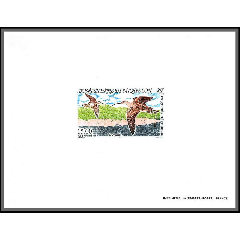 2195/ Saint-Pierre et Miquelon PA N°75 le courlis Slender oiseaux migrateur birds proof bloc gommé ** mnh 1996