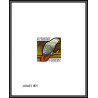 2455 gabon gabonaise N°278/282 oiseaux (birds) aigrette halcyon touraco épreuve de luxe deluxe proof Non dentelé imperf