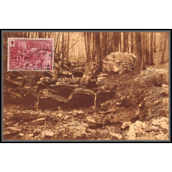 56701 N°296 antituberculeux promenade d'orléans à spa 10/7/1930 belgique Carte maximum (card) fdc édition chapelier