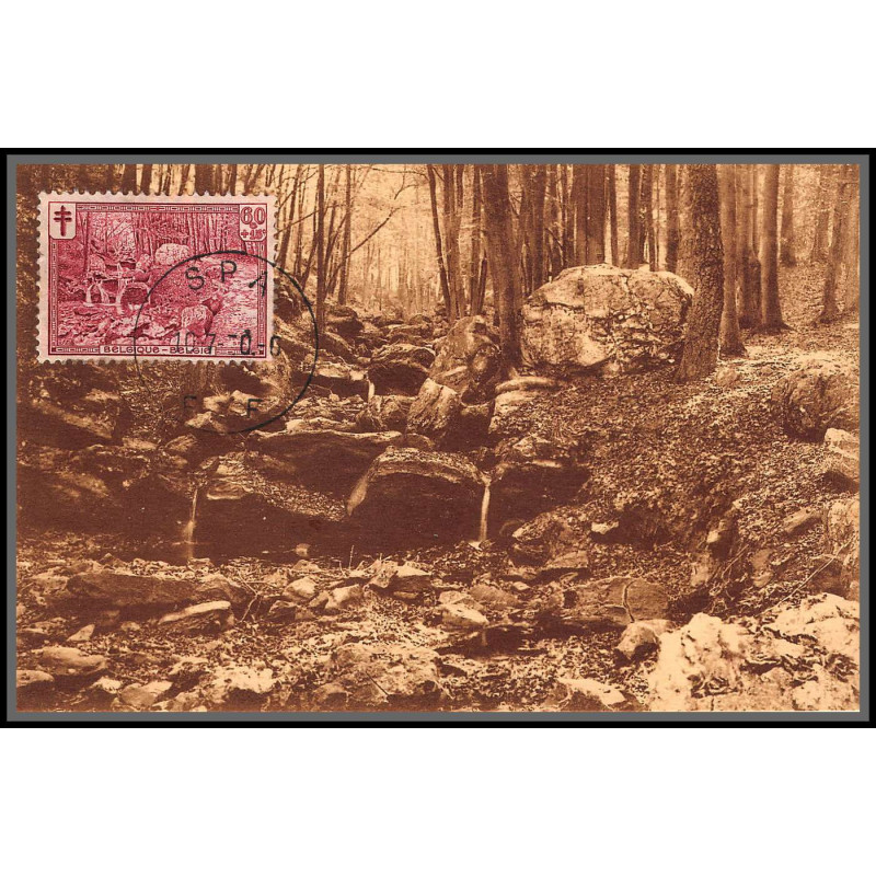 56701 N°296 antituberculeux promenade d'orléans à spa 10/7/1930 belgique Carte maximum (card) fdc édition chapelier