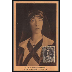 56724 N°329 antituberculeux reine elisabeth 21/11/1931 belgique Carte maximum (card) 